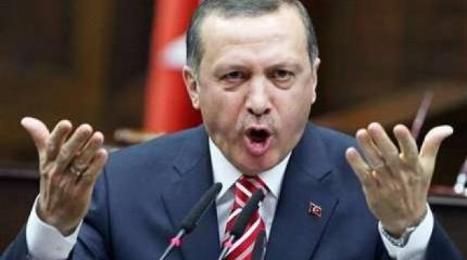 Турецкий оскал сквозь маску дипломатического приличия