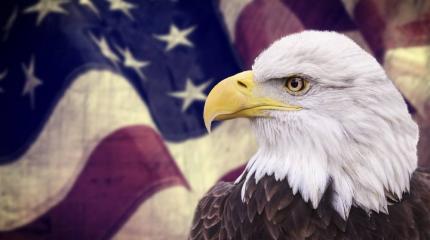 Провокация под ложным флагом: как США готовились напасть на Россию