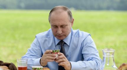 Капитуляция или подготовка к войне? Капитуляция или подготовка к войне?