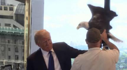На Трампа напал символ Америки На Трампа напал символ Америки