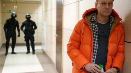 «Почему все жертвы выжили?»: французы о выздоравливающем Навальном «Почему все жертвы выжили?»: французы о выздоравливающем Навальном