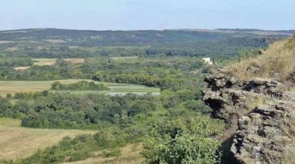Украинские варвары перебили косуль, оленей и других редких животных в донецком заповеднике Украинские варвары перебили косуль, оленей и других редких животных в донецком заповеднике