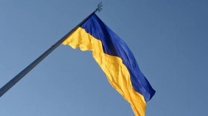 Приглашение на «Крымскую платформу» приняли только два государства Приглашение на «Крымскую платформу» приняли только два государства