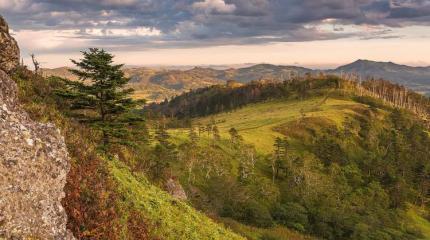 Как ужесточается японская политика по отношению к Курильским островам Как ужесточается японская политика по отношению к Курильским островам