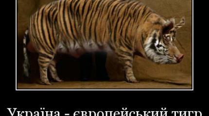 Как в Краматорске делили шкуру донбасского экономического тигра украинской породы Как в Краматорске делили шкуру донбасского экономического тигра украинской породы