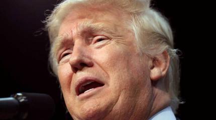 Кто обидел Дональда Трампа?