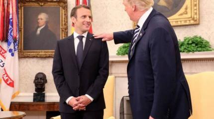 Перхоть Макрона и дерево Трампа Перхоть Макрона и дерево Трампа