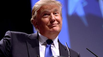 Феномен Трампа, или Здоровая дикость Феномен Трампа, или Здоровая дикость