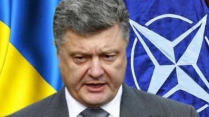 «Киеву не стоит увлекаться»: Украину поставили на место в вопросе членства
