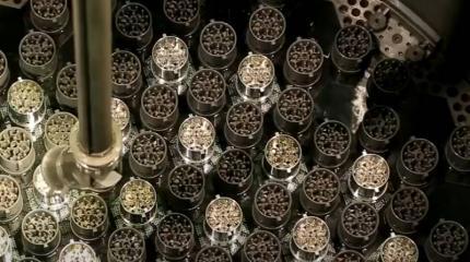 Глава «Энергоатома» Украины фактически признал многолетнее нарушение Киевом Будапештского меморандума Глава «Энергоатома» Украины фактически признал многолетнее нарушение Киевом Будапештского меморандума