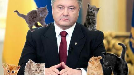 Коты-танкисты расскажут украинским детям про главного врага Коты-танкисты расскажут украинским детям про главного врага