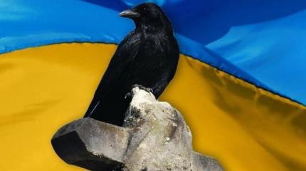 Арабское издание написало о неминуемом самоубийстве Украины Арабское издание написало о неминуемом самоубийстве Украины