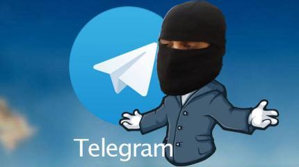 Telegram должен быть «в законе» Telegram должен быть «в законе»