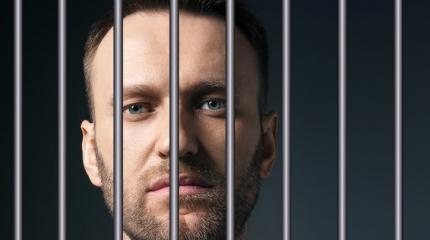 Навальному придётся отвечать за клевету не только в России, но и на Западе Навальному придётся отвечать за клевету не только в России, но и на Западе