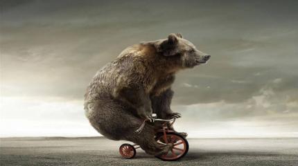 Что на самом деле спрашивают иностранцы о России?