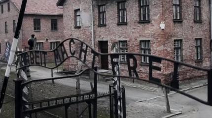 Чешский автор разоблачает ложь Запада об освобождении Освенцима Чешский автор разоблачает ложь Запада об освобождении Освенцима