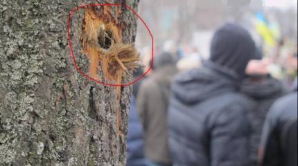 Семен Семенченко считает, что снайперами на Майдане руководил Пашинский Семен Семенченко считает, что снайперами на Майдане руководил Пашинский