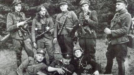 НАТО и коллаборанты НАТО и коллаборанты