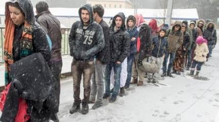 Норвегия прогнозирует рост числа беженцев через границу с Россией Норвегия прогнозирует рост числа беженцев через границу с Россией