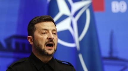 Зеленский сумел вызвать раздражение даже у Литвы Зеленский сумел вызвать раздражение даже у Литвы