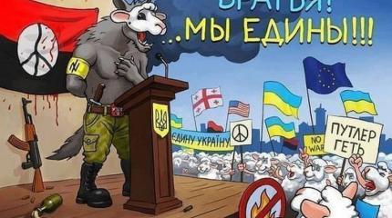Катастрофическая самодеятельность украинской власти Катастрофическая самодеятельность украинской власти