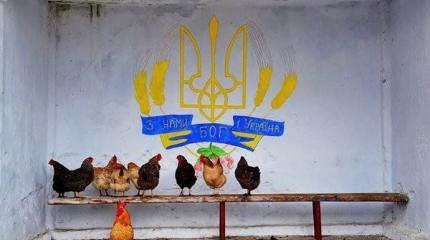 Село "аграрной супердержавы" Село "аграрной супердержавы"