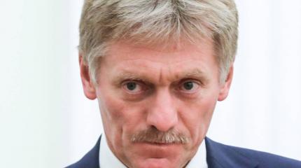 Песков прокомментировал покушения на критиков Путина