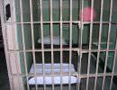 В США раввины похищали и пытали ортодоксальных евреев