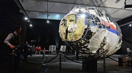 Дело крушения MH-17: Малайзия настроена на обнародование всех доказательств Дело крушения MH-17: Малайзия настроена на обнародование всех доказательств