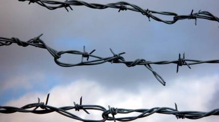 Большой ценой. Зачем прибалтам стена на границе с Россией