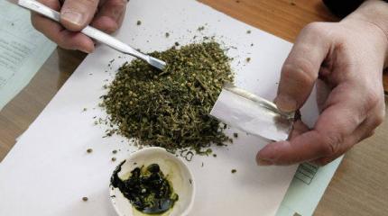 Что стоит за легализацией марихуаны на Украине? Что стоит за легализацией марихуаны на Украине?