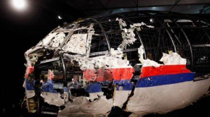 Heise объяснил, для чего Нидерланды затягивают расследование крушения MH17 Heise объяснил, для чего Нидерланды затягивают расследование крушения MH17