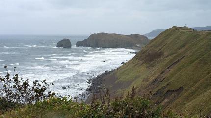 Bloomberg: Путин рассказал, что будет с Курильскими островами