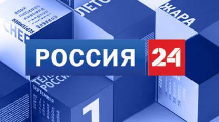 Запретный плод: продавцы из ЕС ищут способы отправить в Россию свои продукты