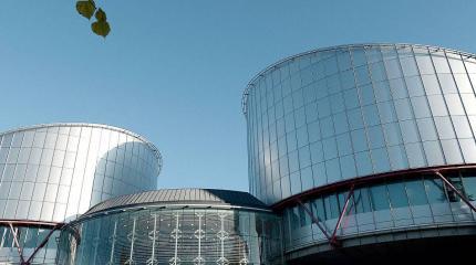 Реакция голландцев на иск РФ в ЕСПЧ показала правильность действий Москвы Реакция голландцев на иск РФ в ЕСПЧ показала правильность действий Москвы
