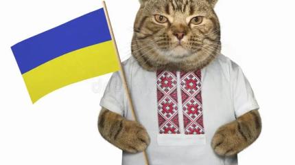 «Мяу» — русское вторжение: во Львове потребовали украинизации котов