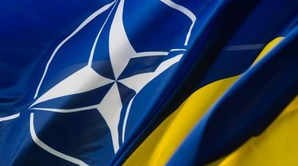 «Тихая дипломатия»: как Украина в «аспирантуру» НАТО поступила «Тихая дипломатия»: как Украина в «аспирантуру» НАТО поступила