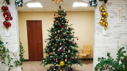 Враги новогодних елок: наших пример Европы ничему не учит