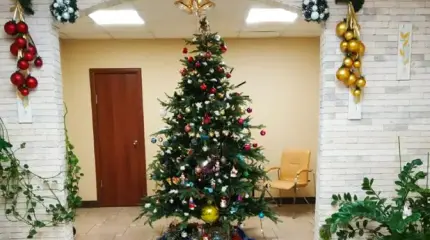 Враги новогодних елок: наших пример Европы ничему не учит