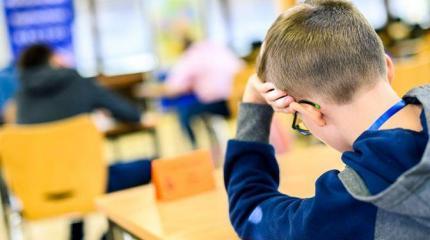 Немцы негодуют: Фрицы и Гансы тупеют с малолетства Немцы негодуют: Фрицы и Гансы тупеют с малолетства