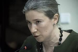 Российская оппозиция: «спящие» просыпаются? Российская оппозиция: «спящие» просыпаются?