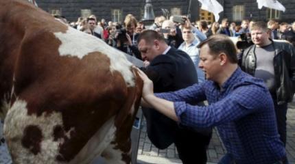 Украина в 2016-м. Просто и цинично Украина в 2016-м. Просто и цинично