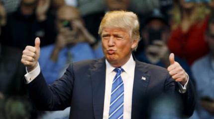 Трамп: Путин — «крепкий орешек» Трамп: Путин — «крепкий орешек»