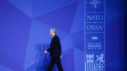 Турция и НАТО: Уйти нельзя остаться Турция и НАТО: Уйти нельзя остаться