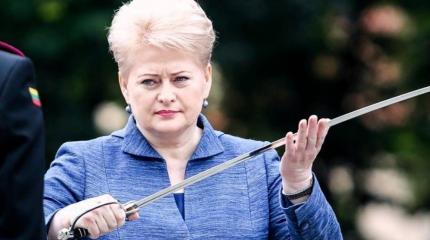 Белоруссия потребовала от Литвы объяснений по поводу заявлений Грибаускайте Белоруссия потребовала от Литвы объяснений по поводу заявлений Грибаускайте