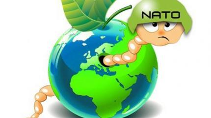 Порвите методичку и откройте учебник истории Порвите методичку и откройте учебник истории