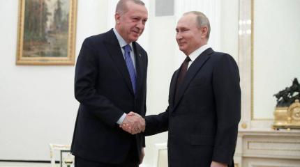 Эрдоган набивает цену перед встречей с Путиным Эрдоган набивает цену перед встречей с Путиным