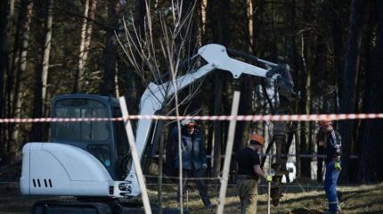 Белорусские оппозиционеры пожаловались Литве на снос крестов в Куропатах
