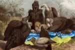 О финансовом положении киевского режима и перспективах дефолта Украины О финансовом положении киевского режима и перспективах дефолта Украины