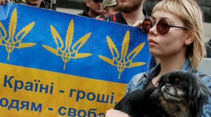 На Западе признали, что Украина упустила шанс на реформы На Западе признали, что Украина упустила шанс на реформы